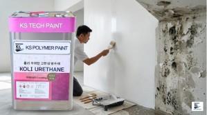 Nhà bị thấm, tường mốc? Giải pháp lớp phủ chống thấm toàn diện